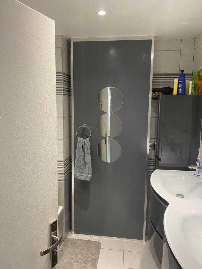 Residence Zola 2 维勒班 外观 照片